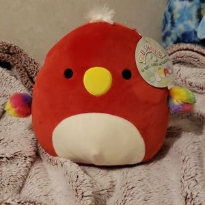 Paco the Parrot Squishmallow